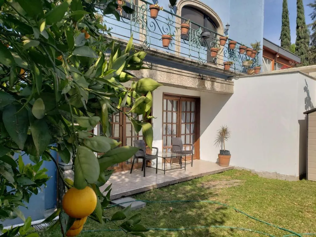 Image of Singular Coyoacán Pepper My Love!