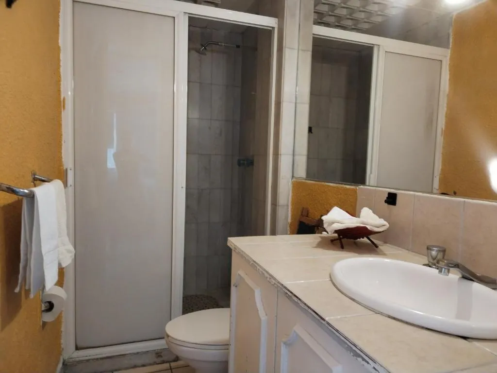 Image of Suite Reforma Ahuehuete