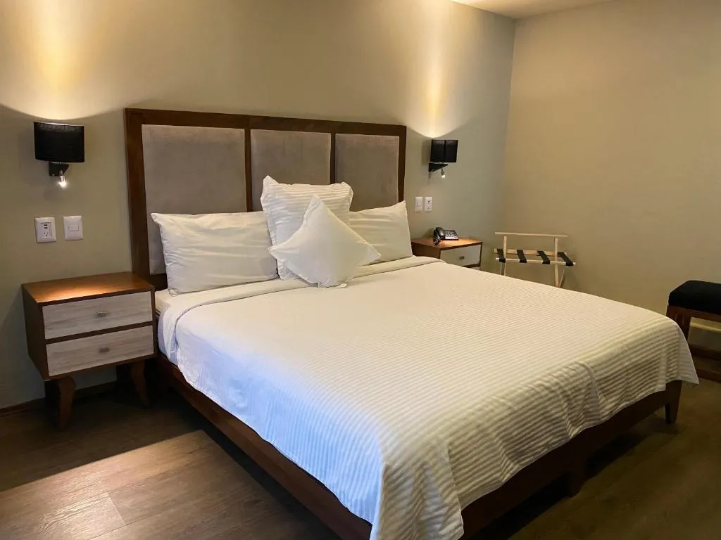 Image of Suites Lerma 205