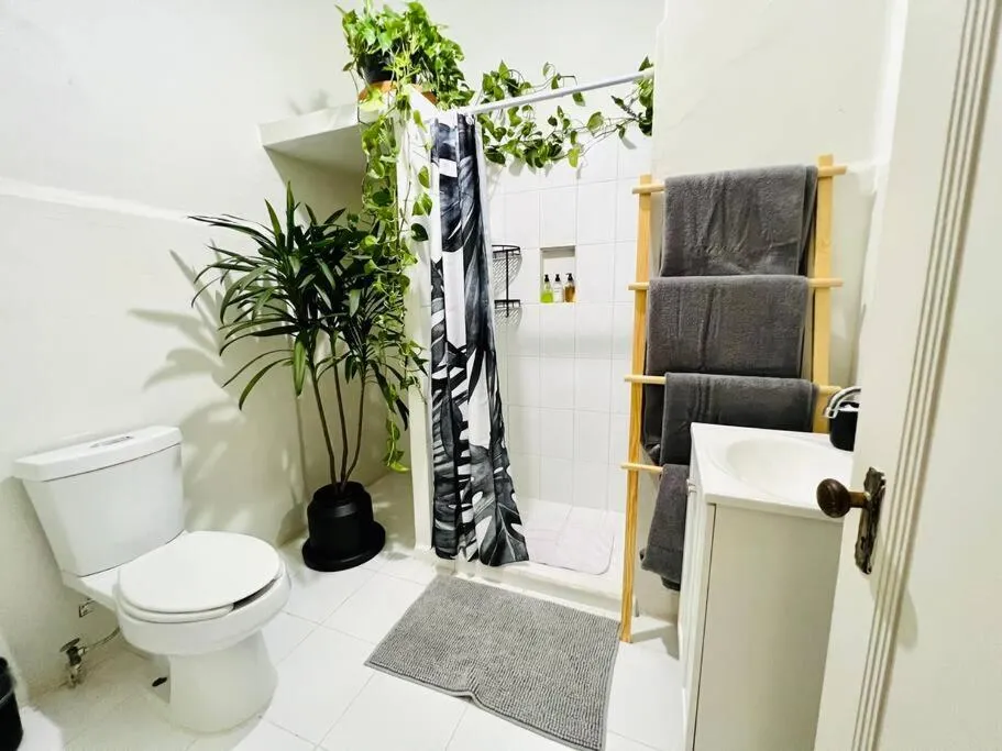 Image 2 of The Best Location in Condesa Roma with Air Conditioner
