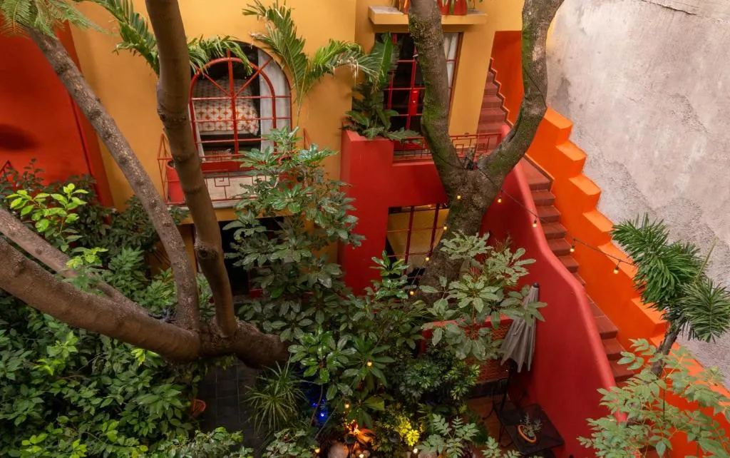 Image of The Red Tree House