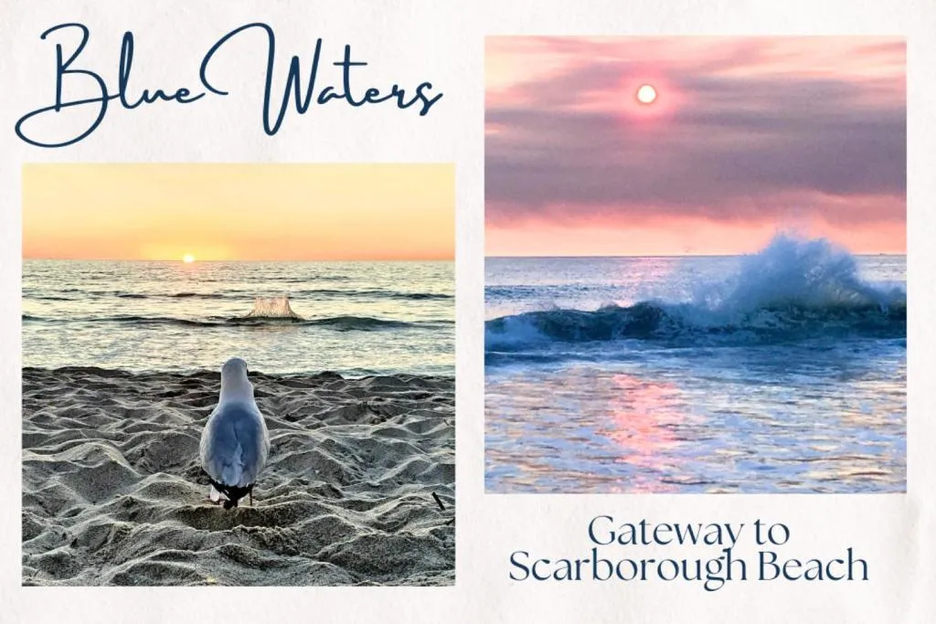 Blue Waters – 1bed Gateway to Scarborough Beach