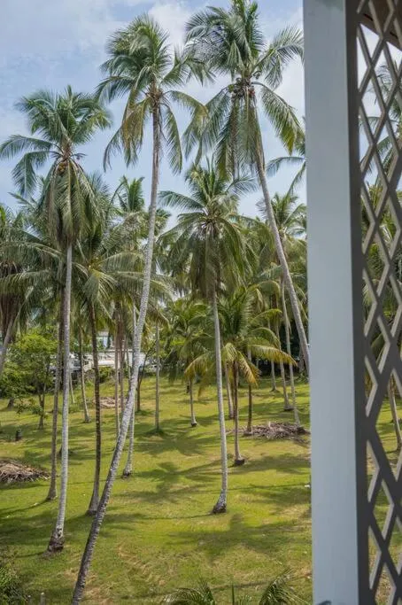 Image 6 of Apartment Seaview Rooftop Pool Surin beach 650m