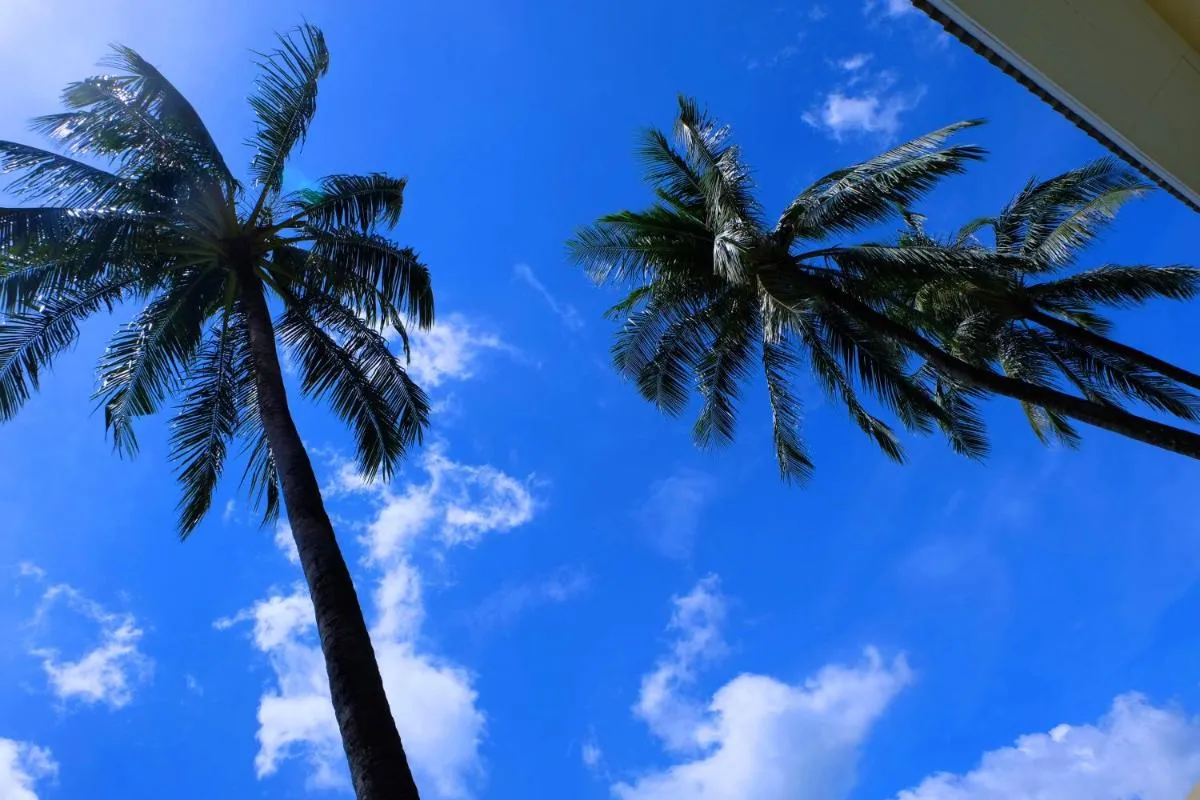 Image 6 of Austrian Garden Hotel & Restaurant Patong