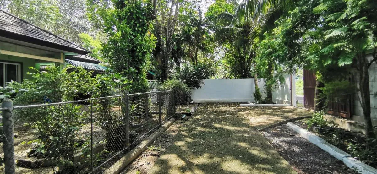 Image 3 of Bassara House 2 bedroom