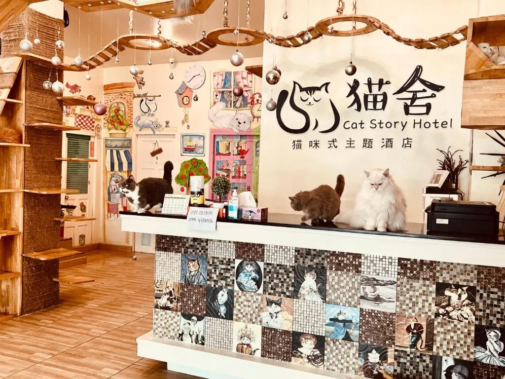 Image of Cat Story Hotel