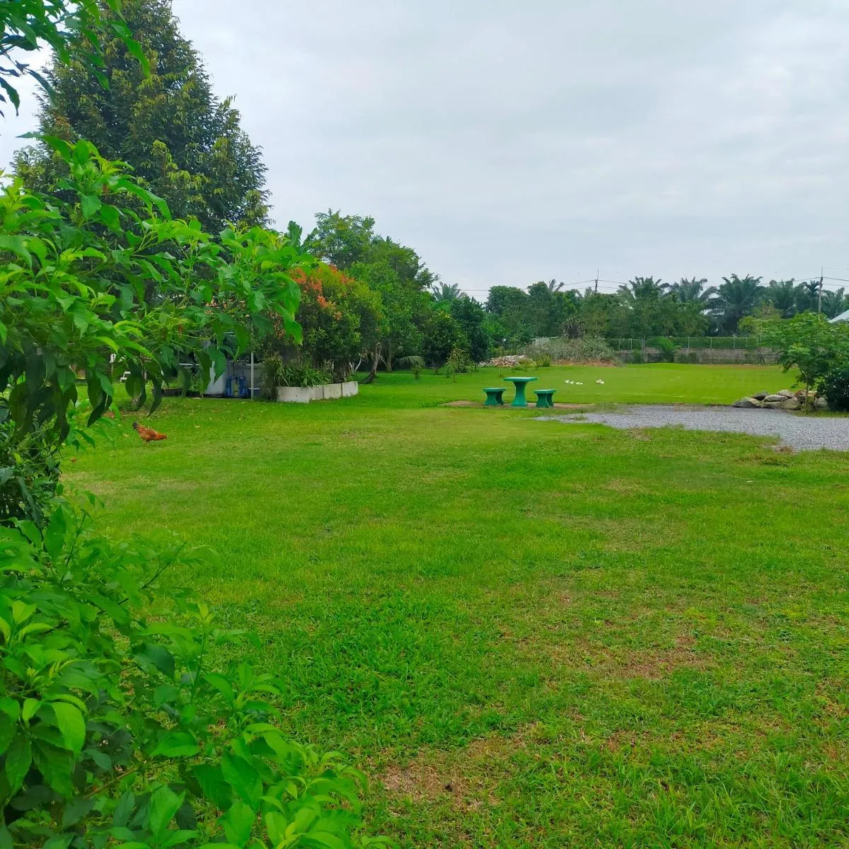 Image 6 of Davy Cottage Phuket