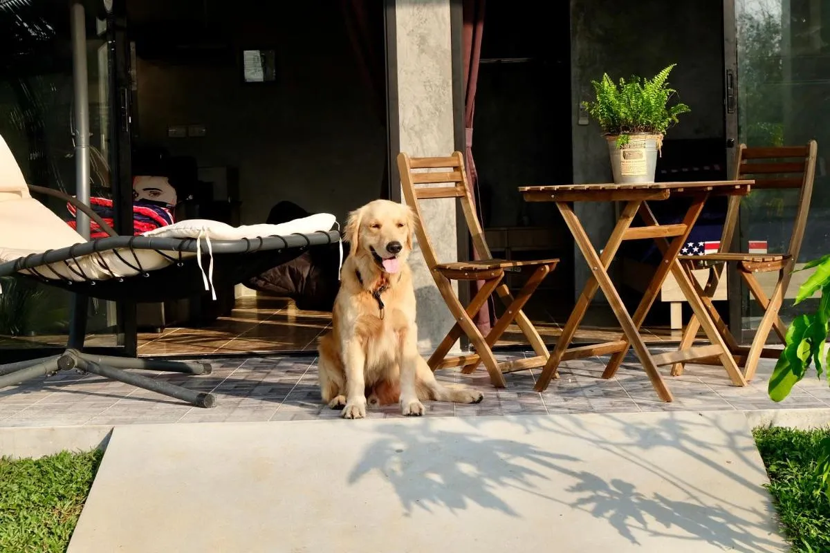 Image 3 of Destination39