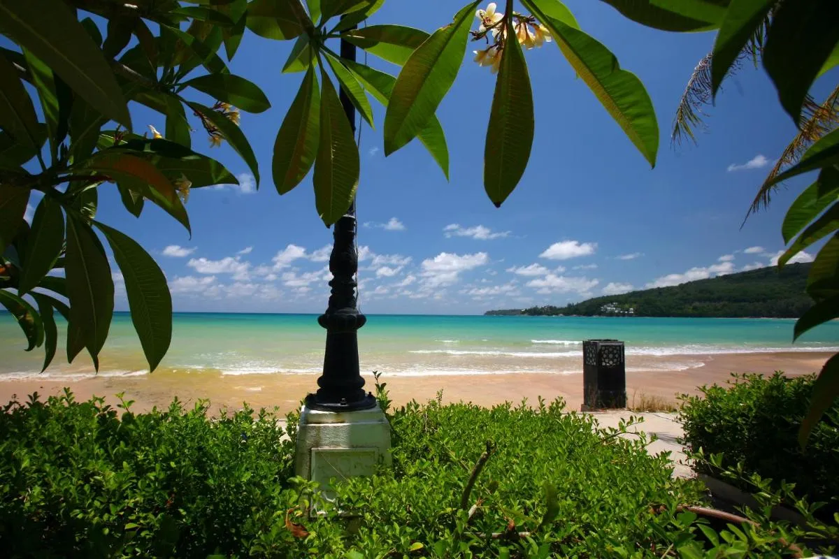 Image 2 of Kamala Dreams