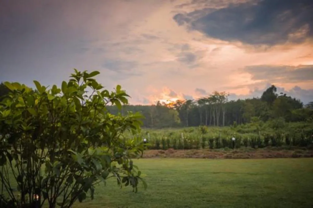 Image of Moonlight Cottage