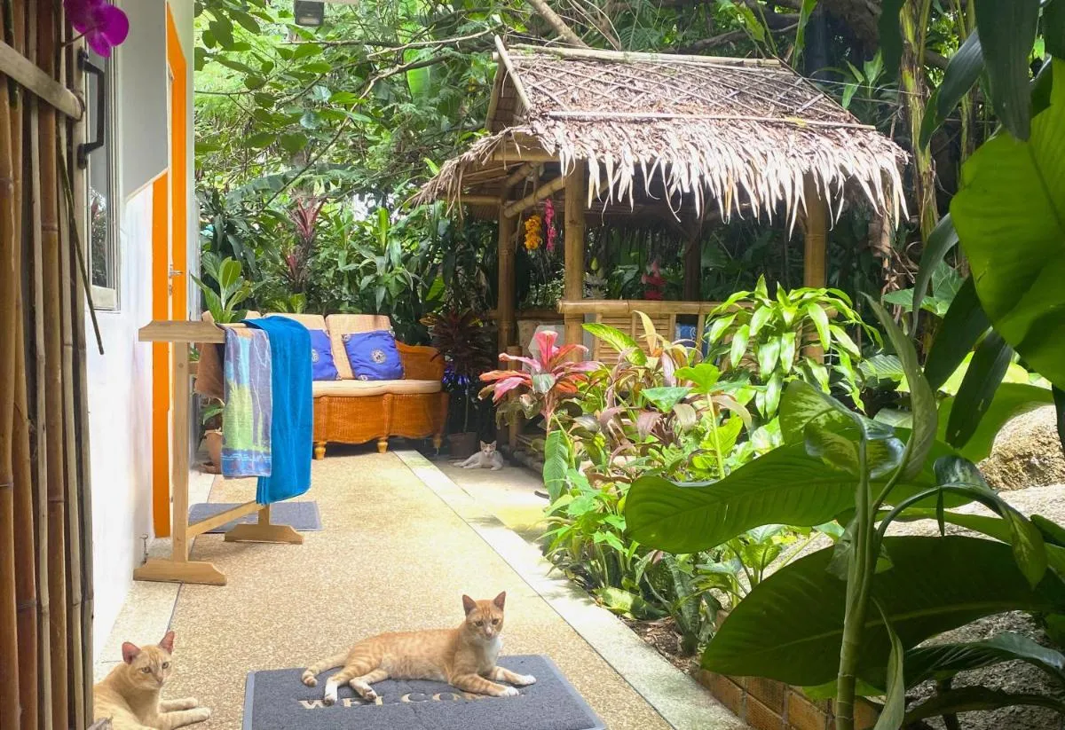 Image 4 of OASIS VILLA Suites & Rooms