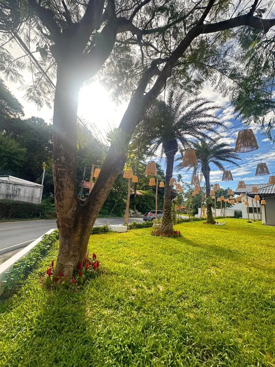 Image 3 of Ocean Pie Phuket – Adult Only