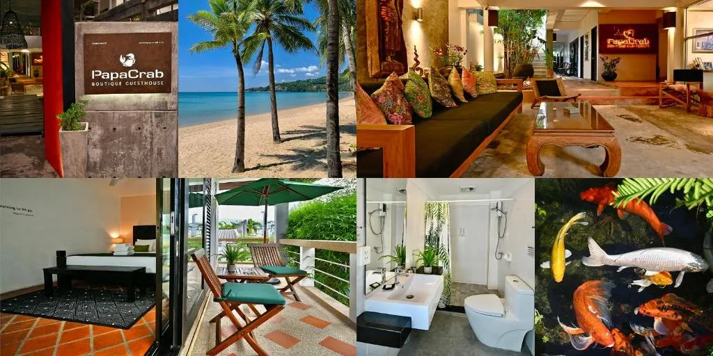 Image of PapaCrab Boutique Guesthouse