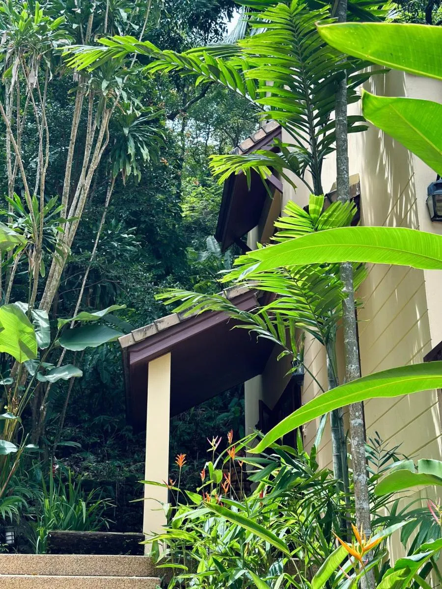 Image 4 of Patong Beach森林屋111