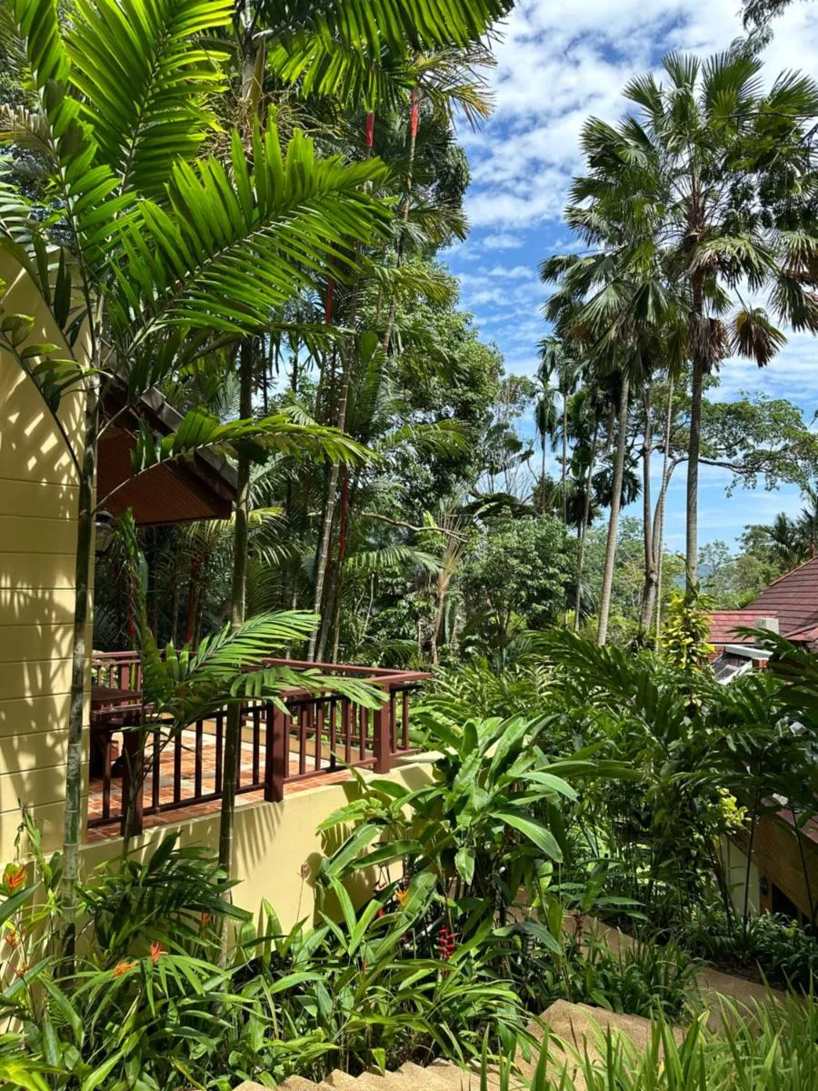 Image 6 of Patong Beach森林屋111