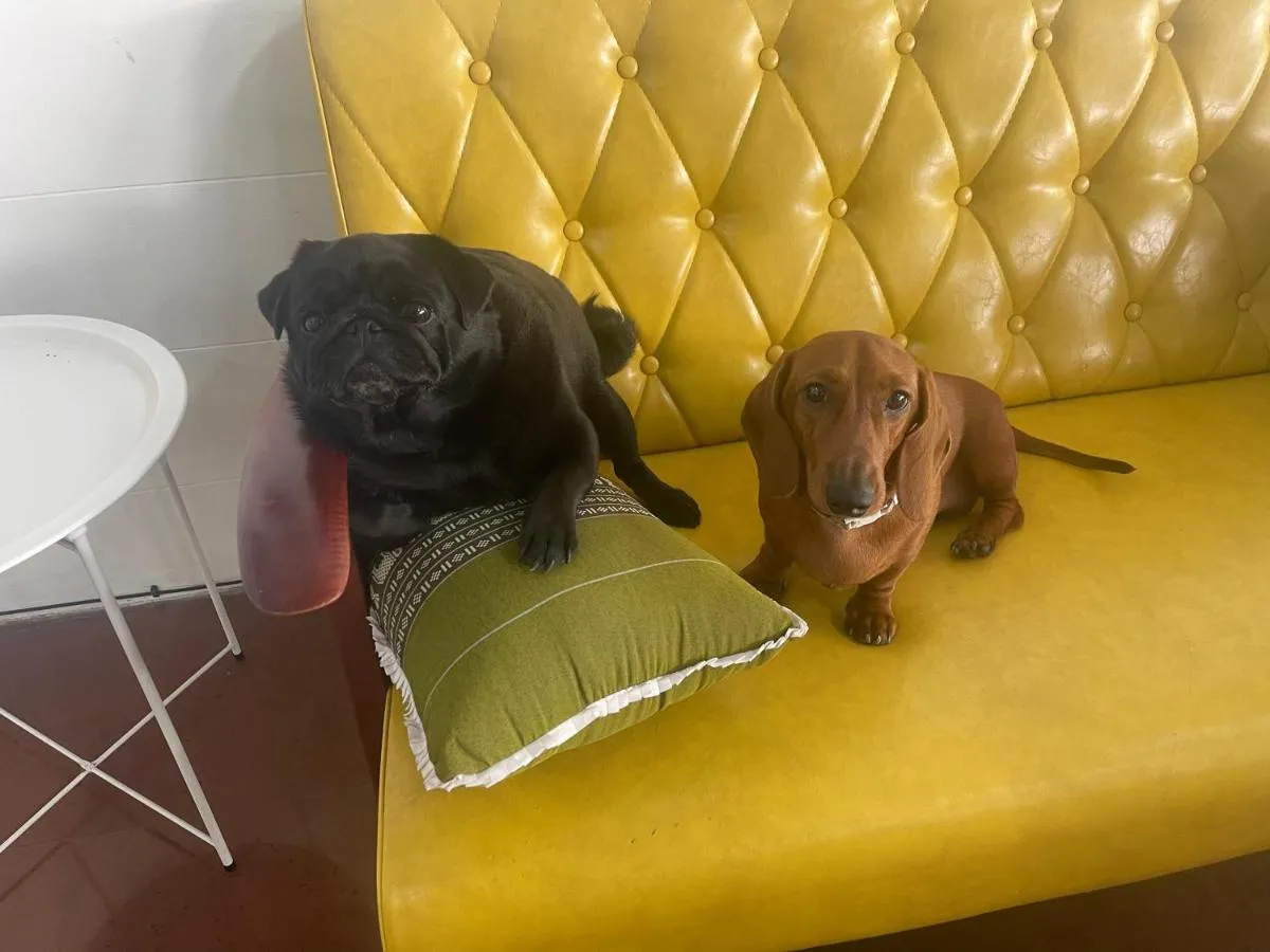 Image 1 of Skipper’s Karon