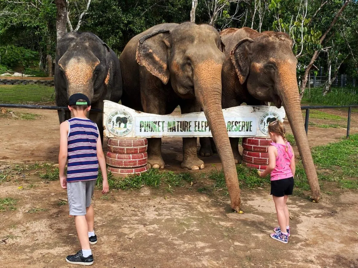 Image 6 of Snooze Inn Phuket – Free Shuttle to Bang Rong Pier