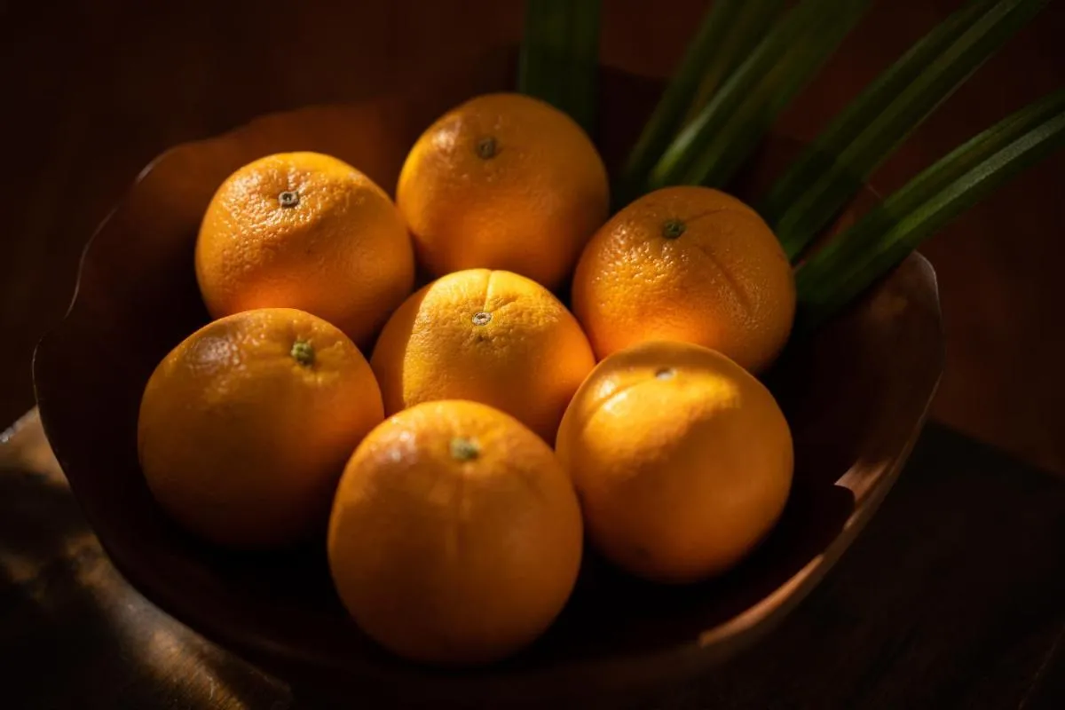 Image 6 of Surin House