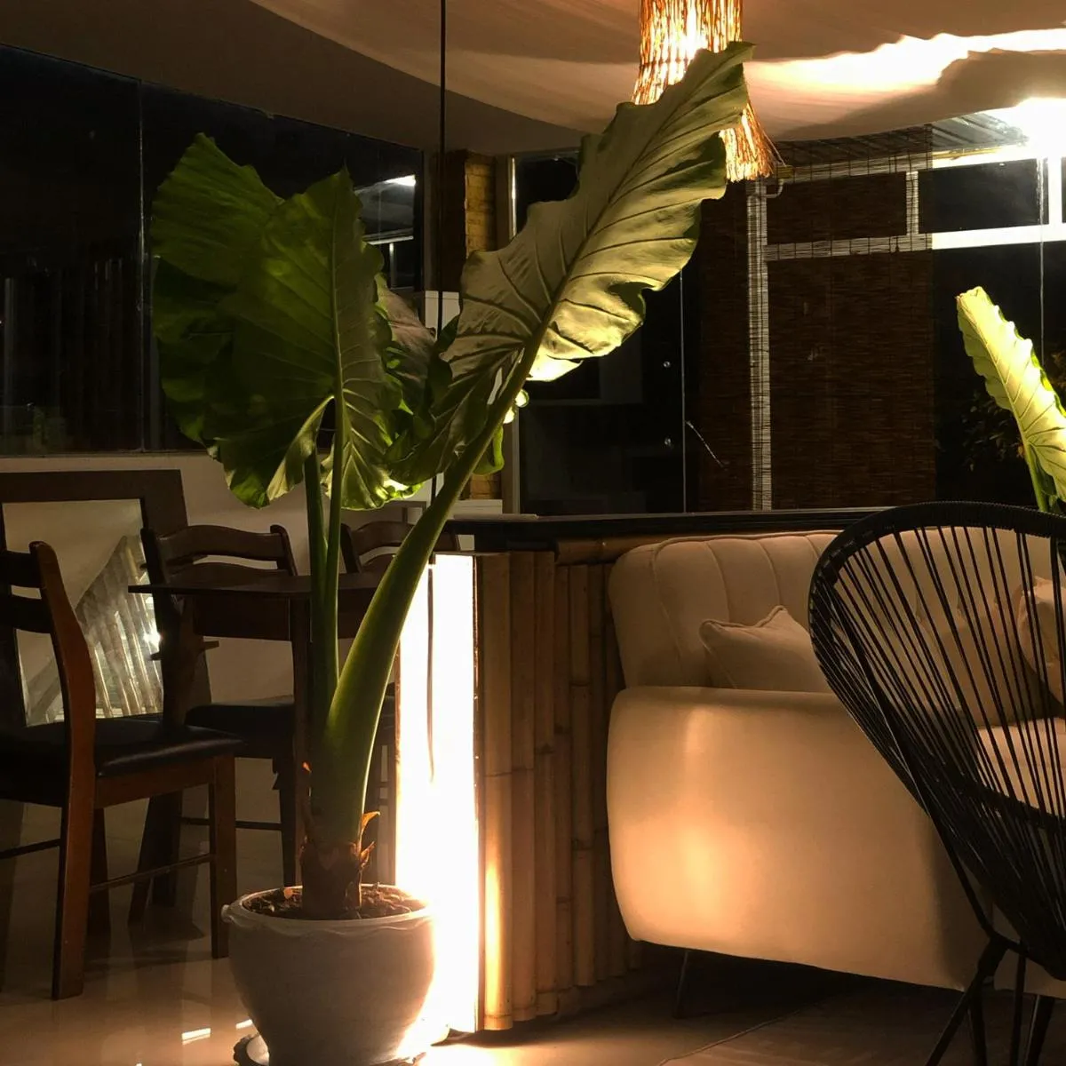 Image 4 of TIL DAWN Phuket