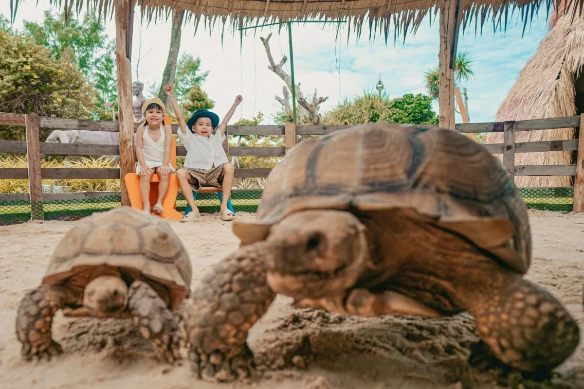 Image 5 of Thavorn Palm Beach Resort Phuket