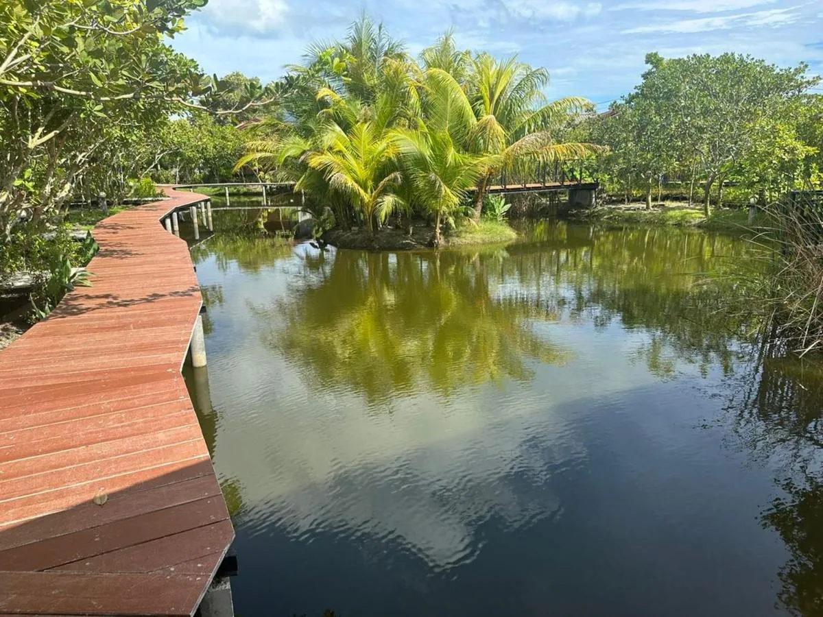 Image 5 of The Beatles Lagoon