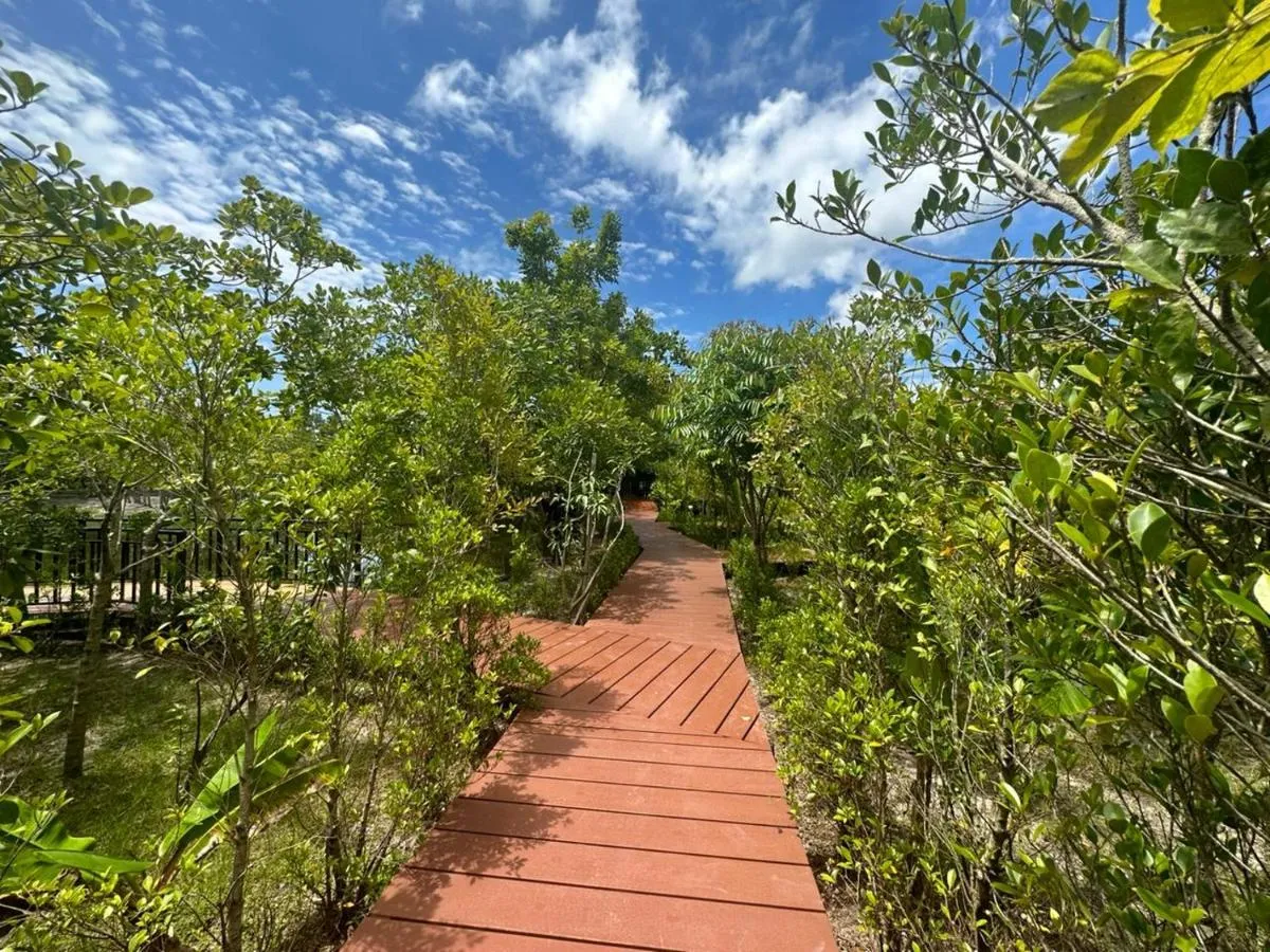 Image 6 of The Beatles Lagoon