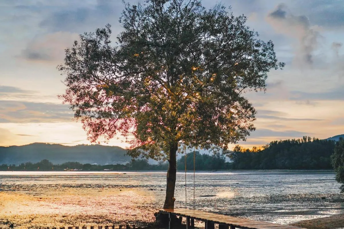 Image 6 of The Mangrove by Blu Monkey