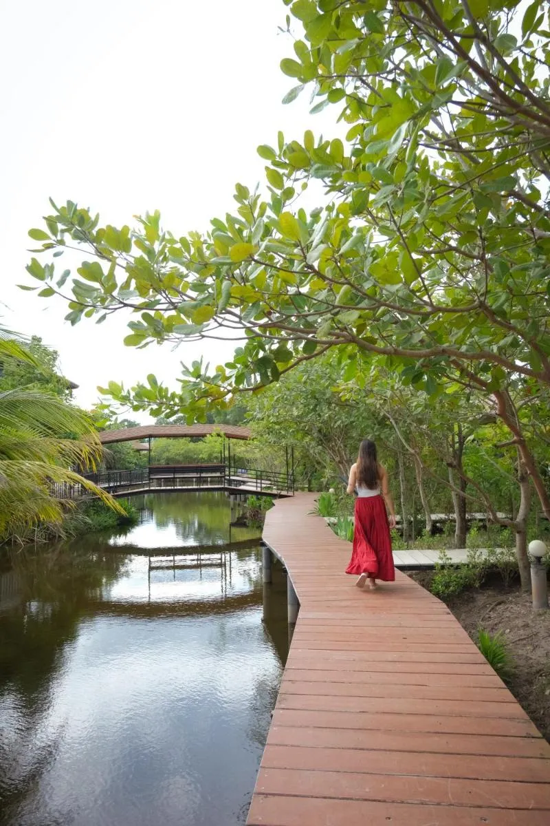 Image 3 of The Secret Lagoon