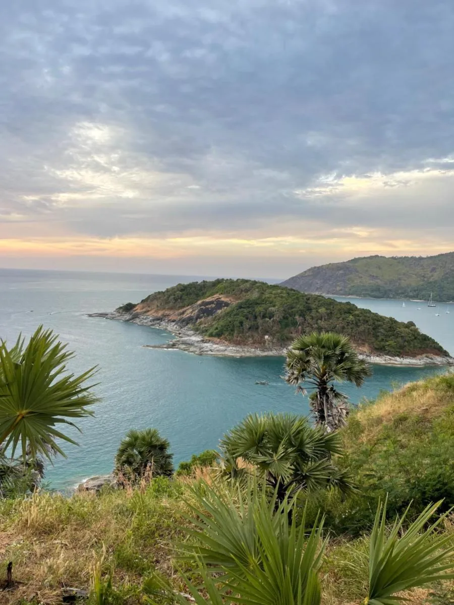 Image 3 of Tropical garden