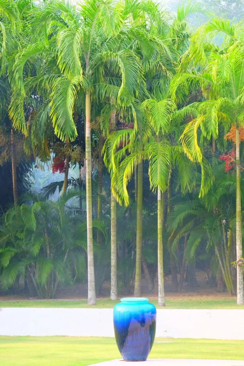 Image 3 of Villa Tha Maphrao