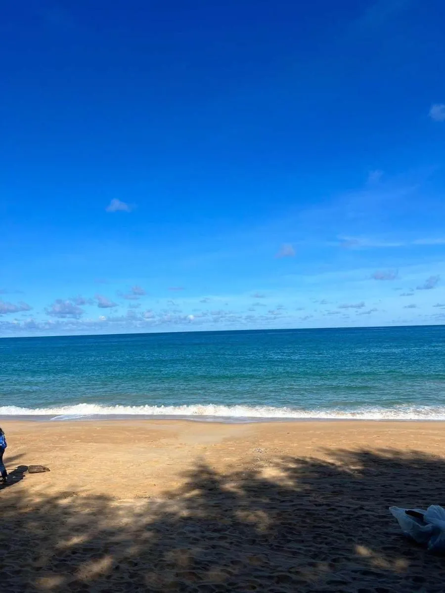 Image 6 of Yada House