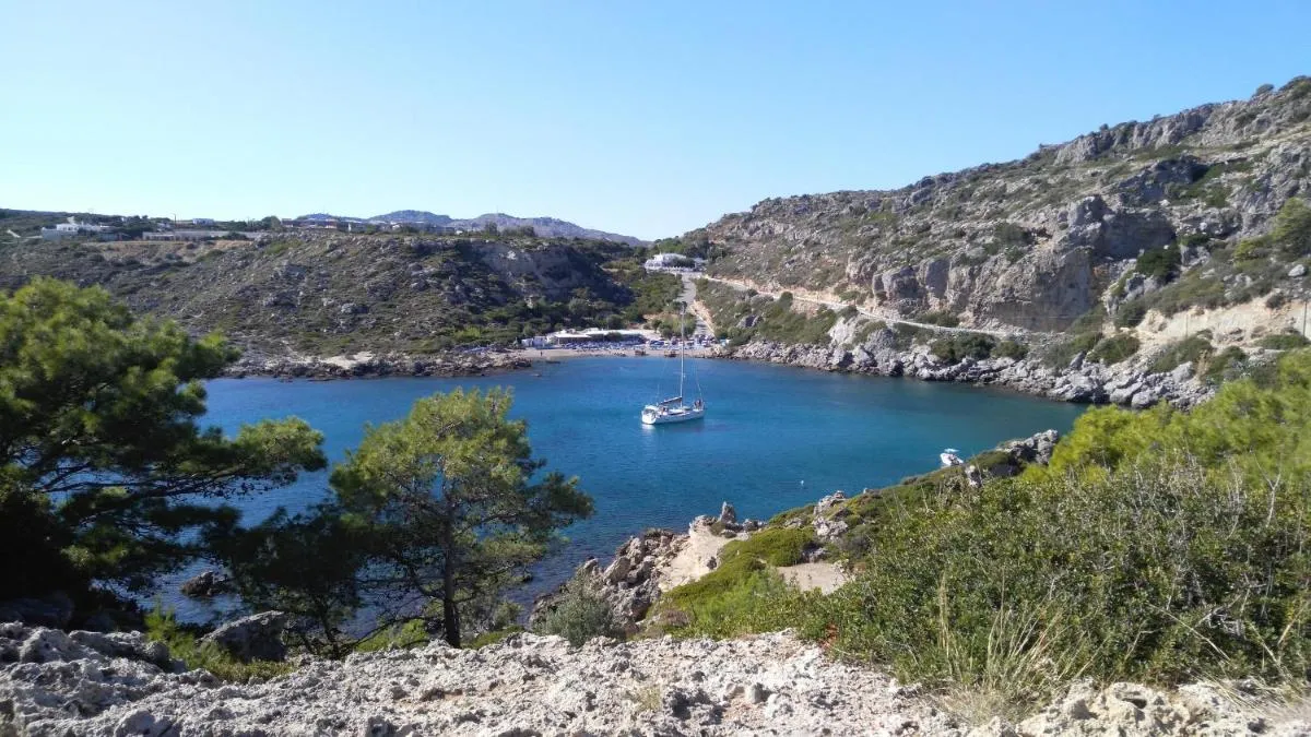 Image 4 of Dolphin Apartments