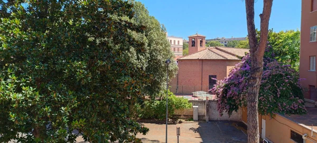 Image 5 of 20′ from St. Peter