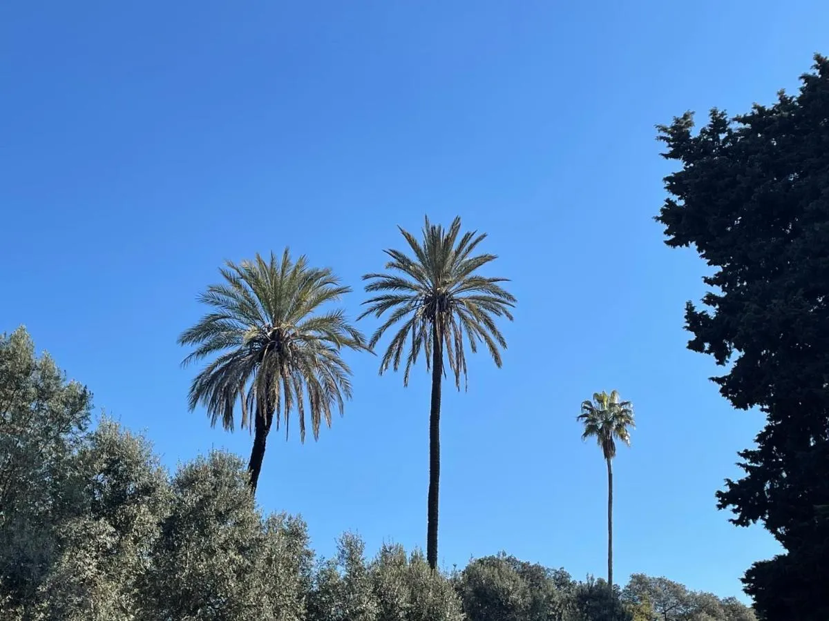 Image 5 of Colosseo Gardens – My Extra Home