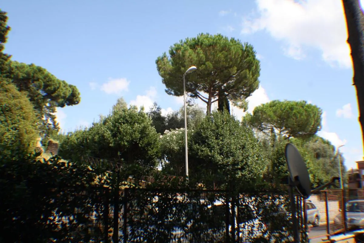 Image 5 of Conny’s Home
