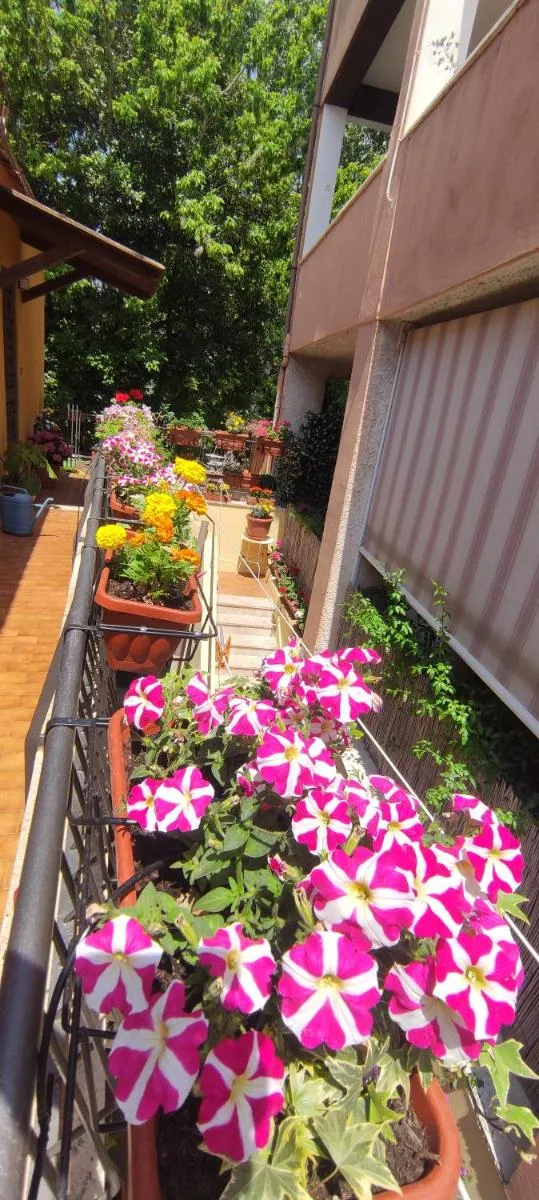 Image 6 of Elisa e Carla House Beautiful apartments on the Cassia