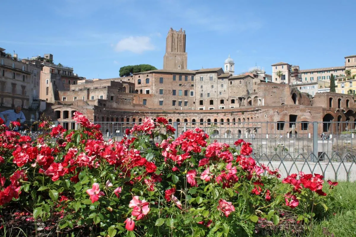 Image 5 of All Suite Colosseo