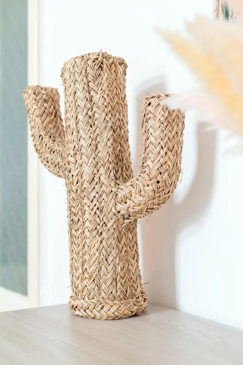 Image 6 of Cactus2023