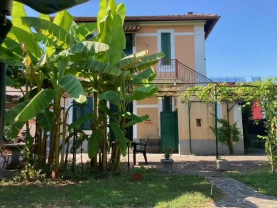 Image 2 of Green house di Alberto