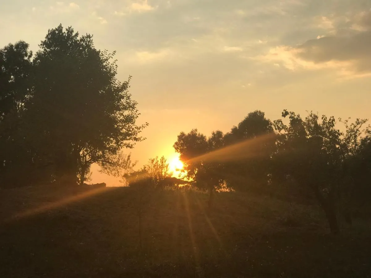 Image 2 of La villetta dei sogni nel Parco