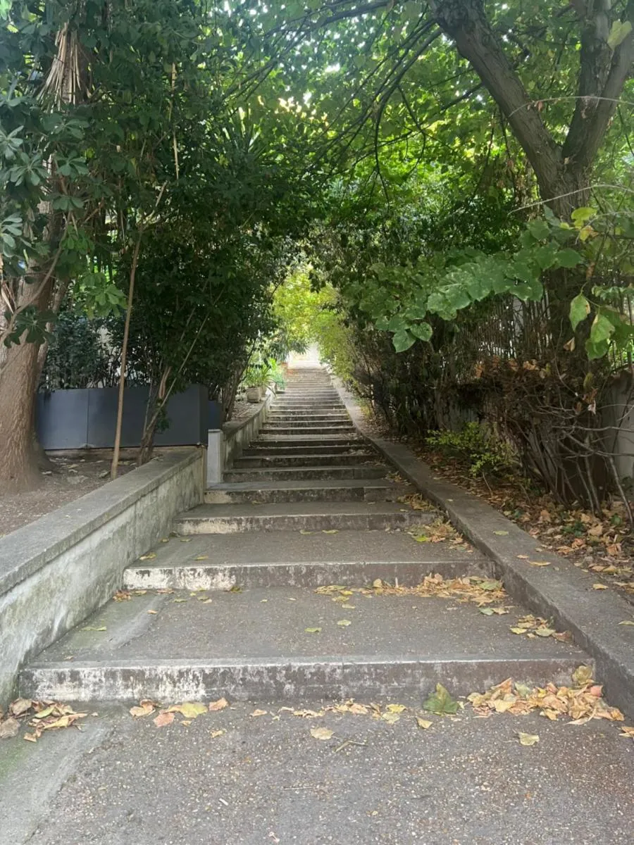 Image 2 of The Stairway to Vatican