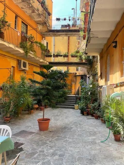 Image 5 of nel cuore di trastevere