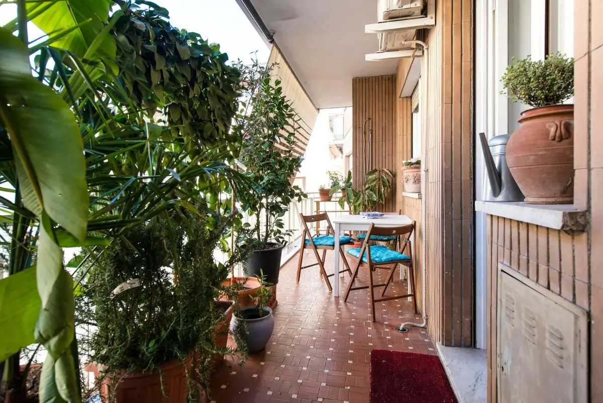 Image 5 of Domus Vintage