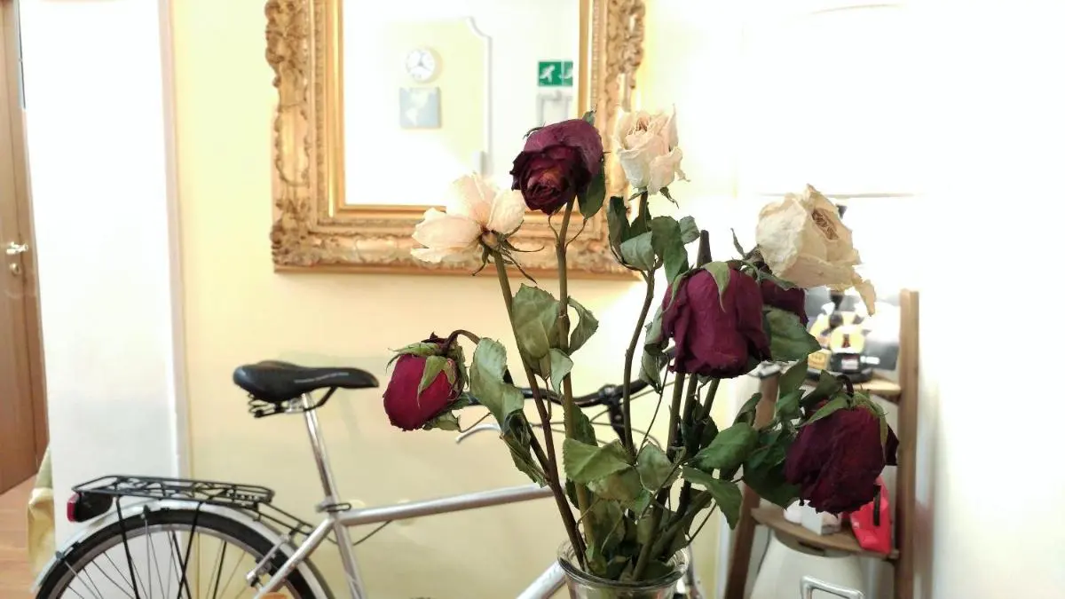 Image 4 of Dreaming Navona Rooms