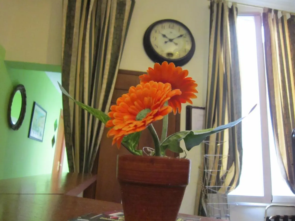 Image 4 of Evergreen