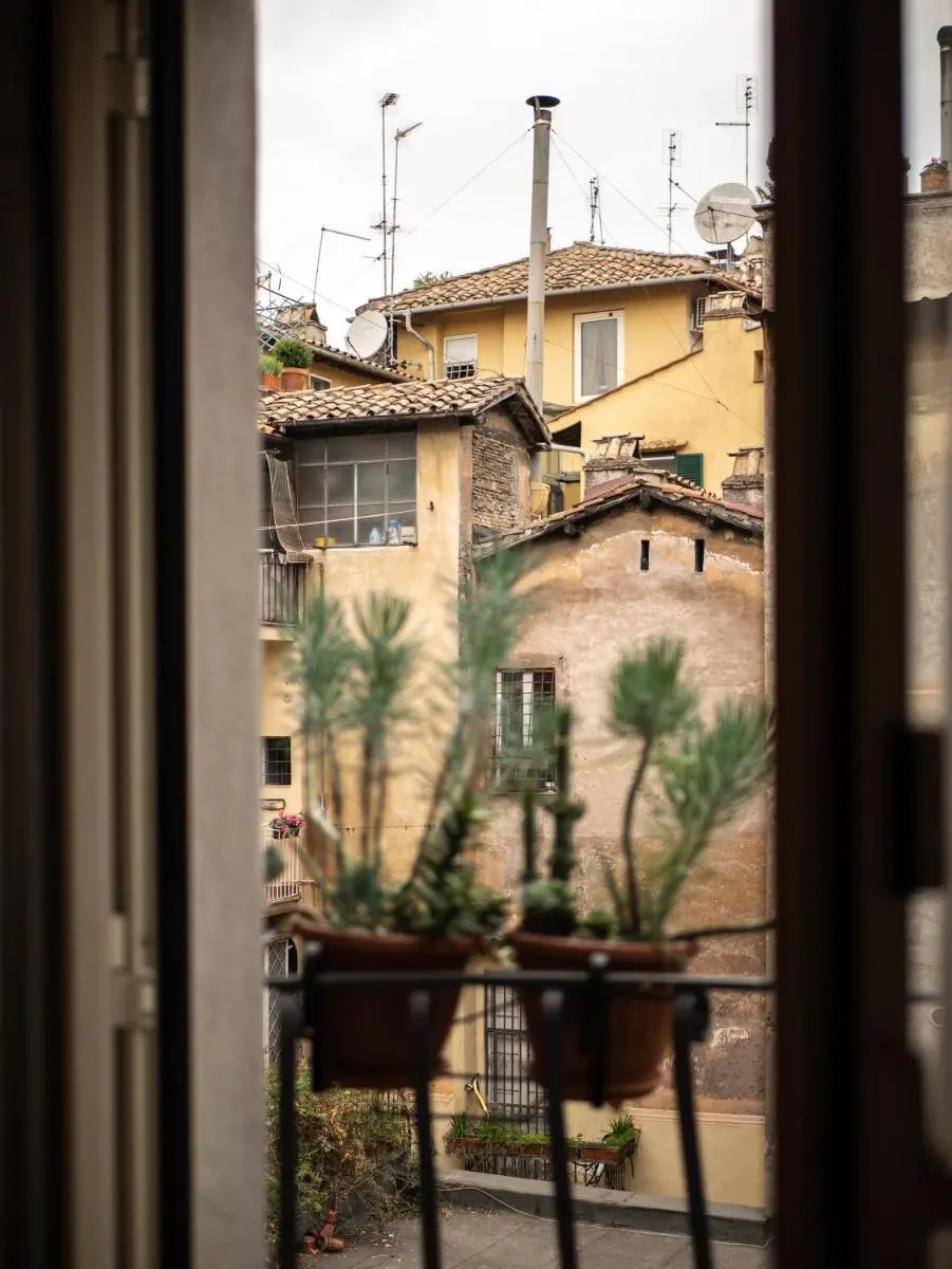 Image 5 of Minerva House Pantheon