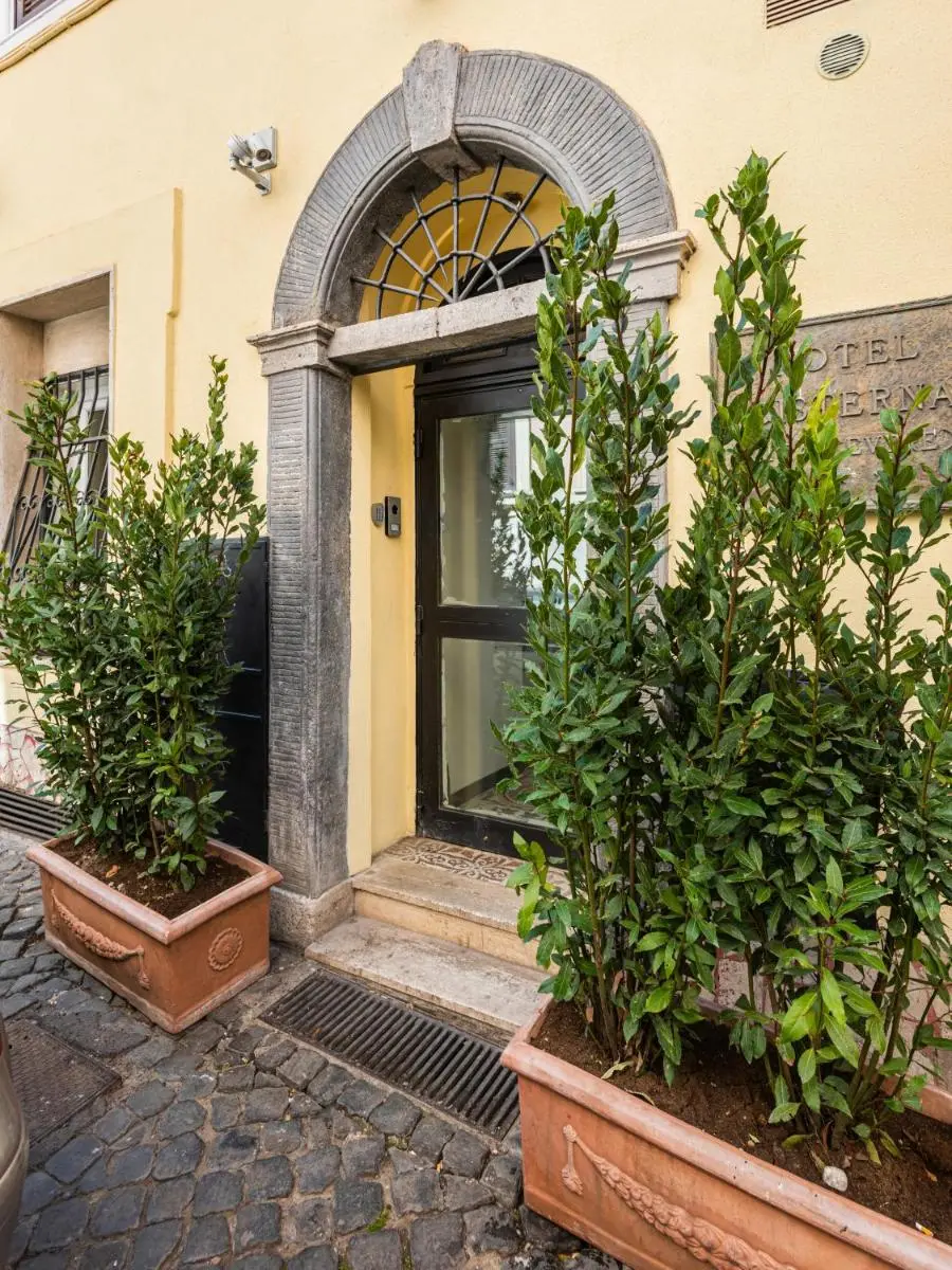 Image 3 of Numa Rome Tullo