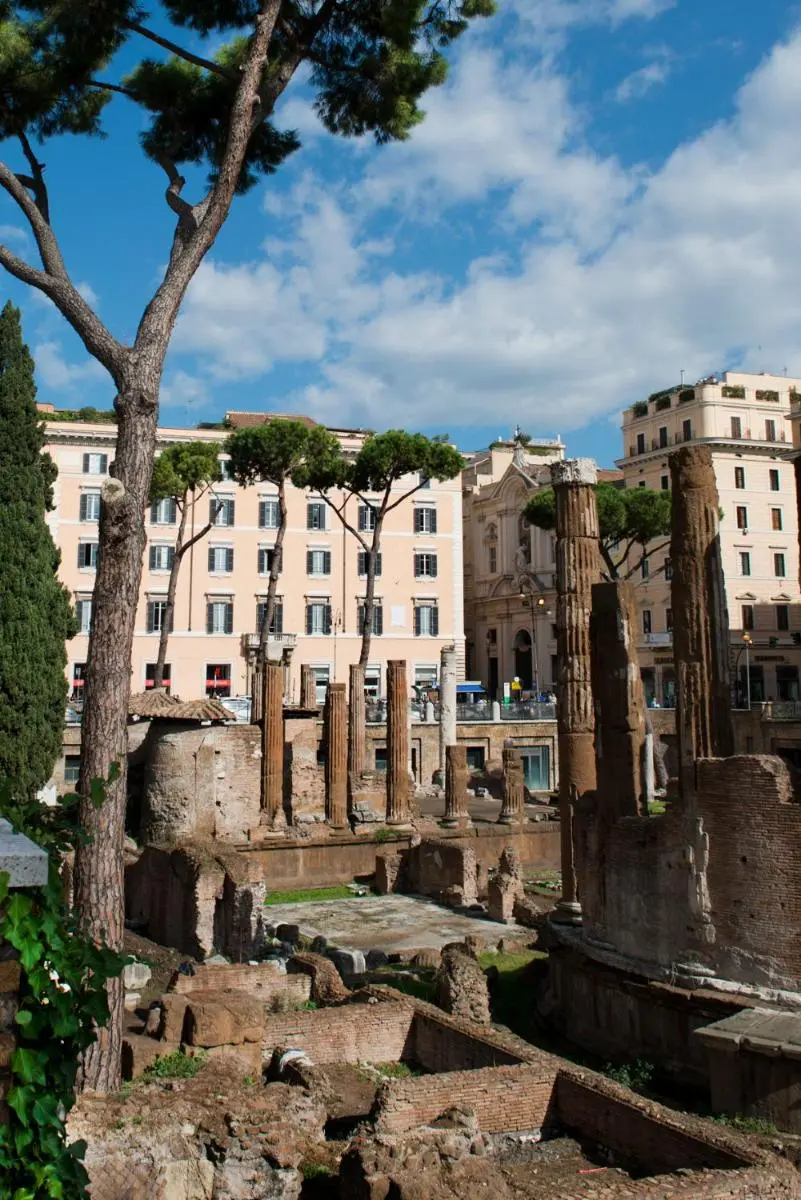 Image 5 of Town House Campo De Fiori
