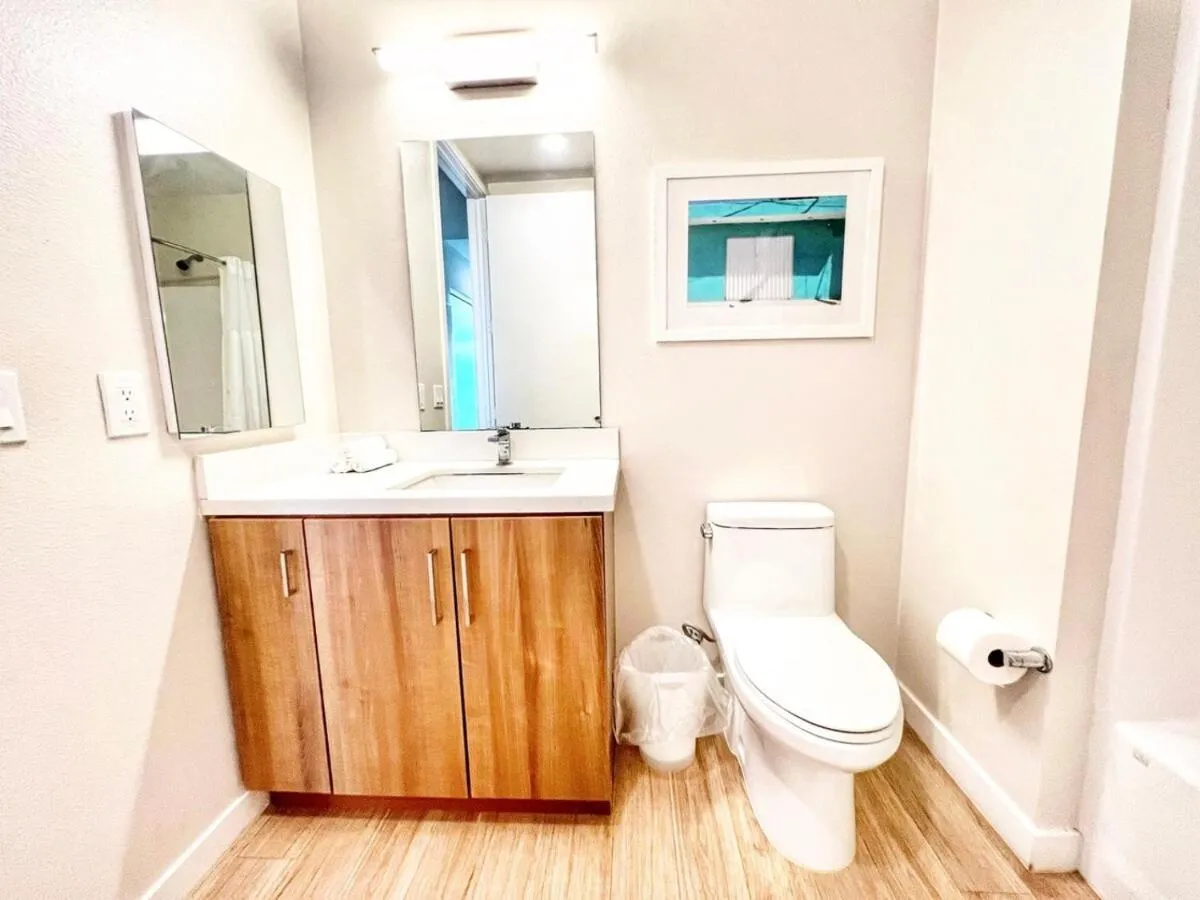 Image 2 of Beautiful One Bedroom Apartment With View Of City