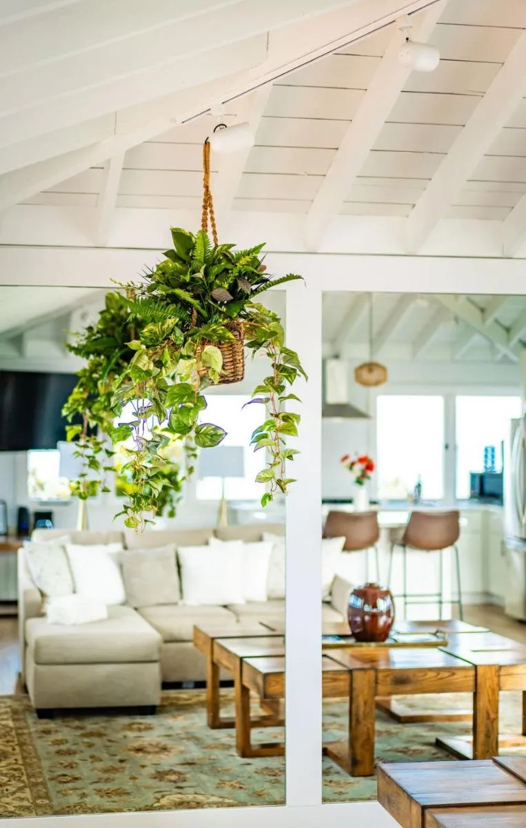 Image 4 of Blue Water View Condo in Prime Coastal Locale